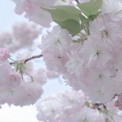 福清FurryQQ群介绍